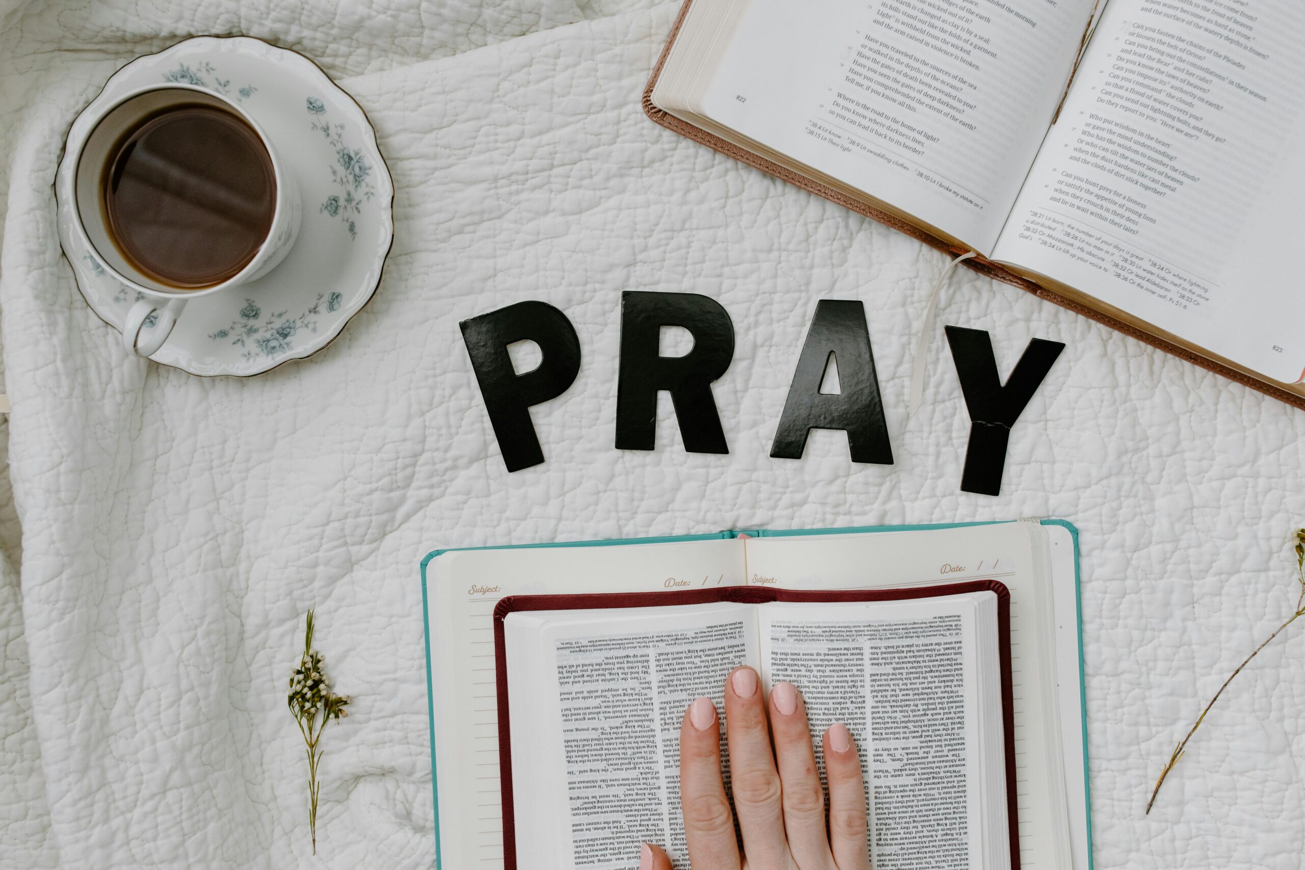Pray With Us for Pioneers Orientation: July 7–11